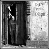 Punk's not dead